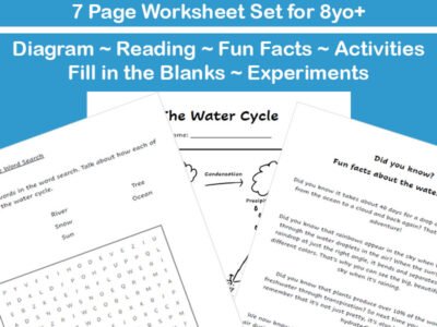 The Water Cycle Worksheet Set