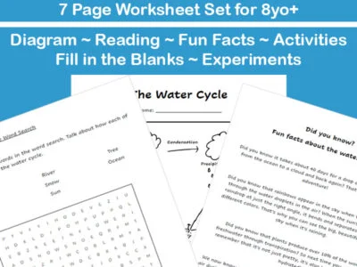 The Water Cycle Worksheet Set