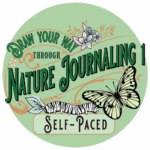 Draw Your Way Through Nature Journaling