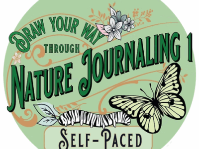 Draw Your Way Through Nature Journaling