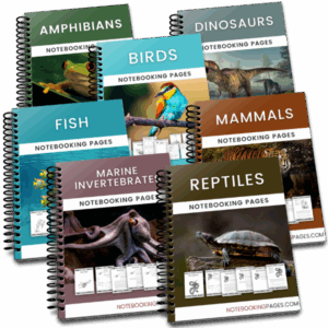 Animals Notebooking Pages Bundle