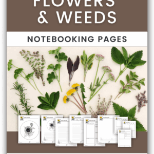 Flowers and Weeds Notebooking Pages