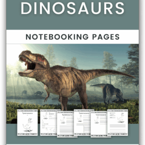 Dinosaurs Notebooking Pages