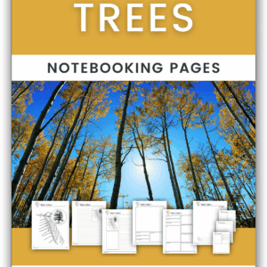 Trees Notebooking Pages