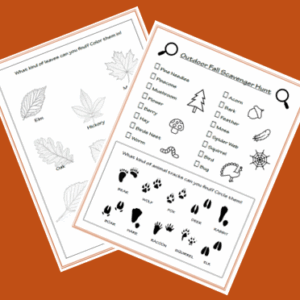 Outdoor Fall Scavenger Hunt