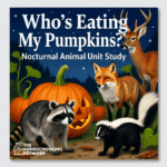 Who’s Eating My Pumpkins? Nocturnal Animal Unit Study